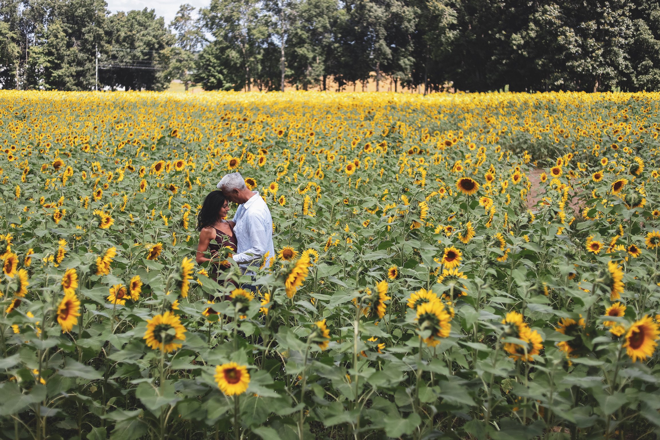 14867833-0B2E-4664-9D45-528DEE26BE93