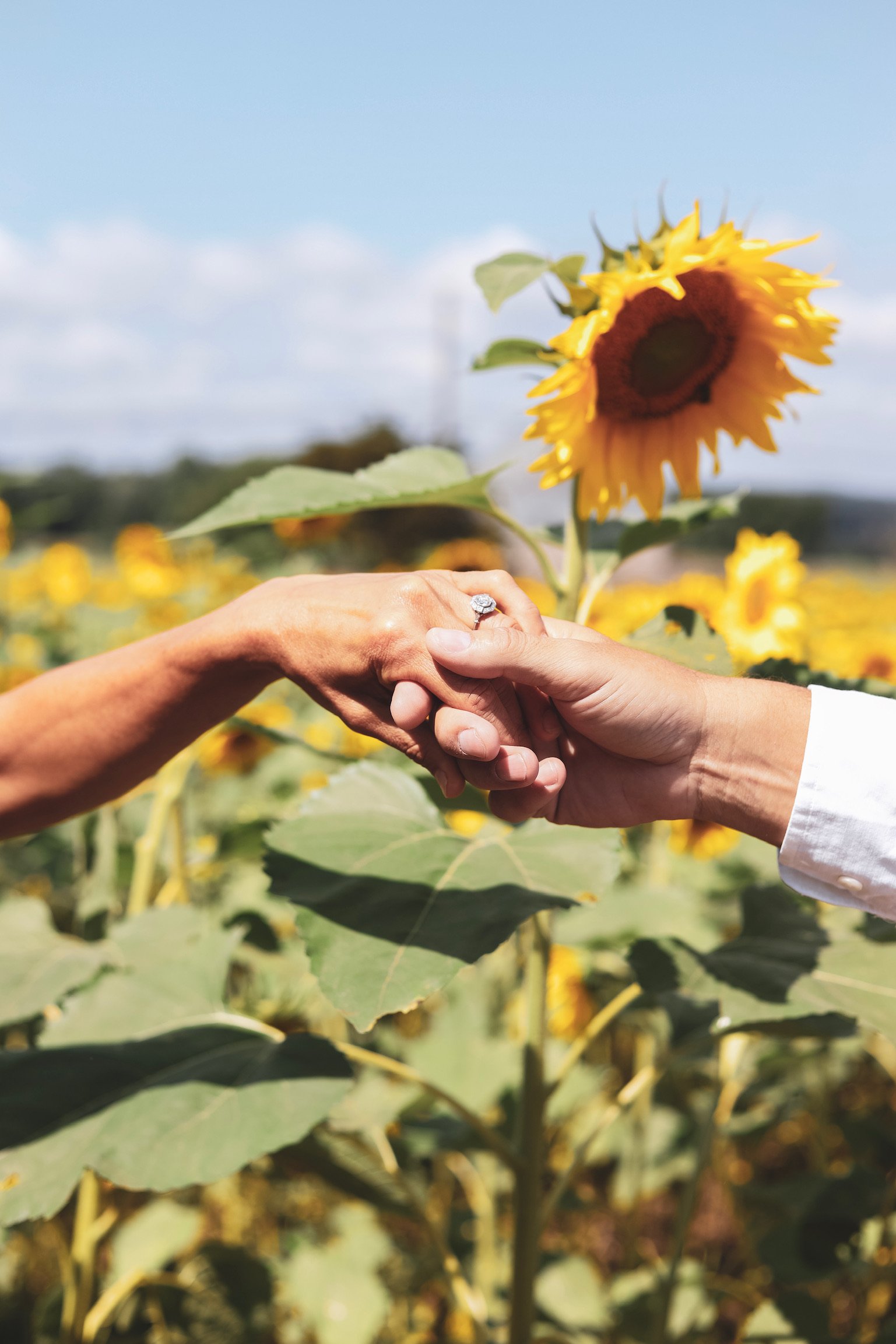 AD5A77B1-D0CE-43FC-8C8E-51DD67D22CEE